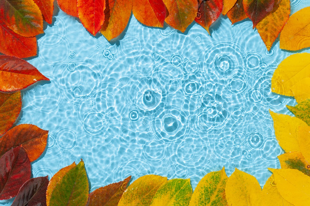 Water ripple with fall colorful leaves.
